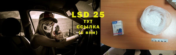 ГАЛЛЮЦИНОГЕННЫЕ ГРИБЫ Долгопрудный