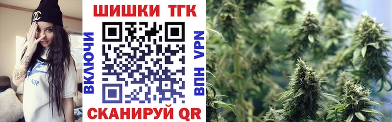 kraken зеркало  Фокино  Бошки марихуана конопля 